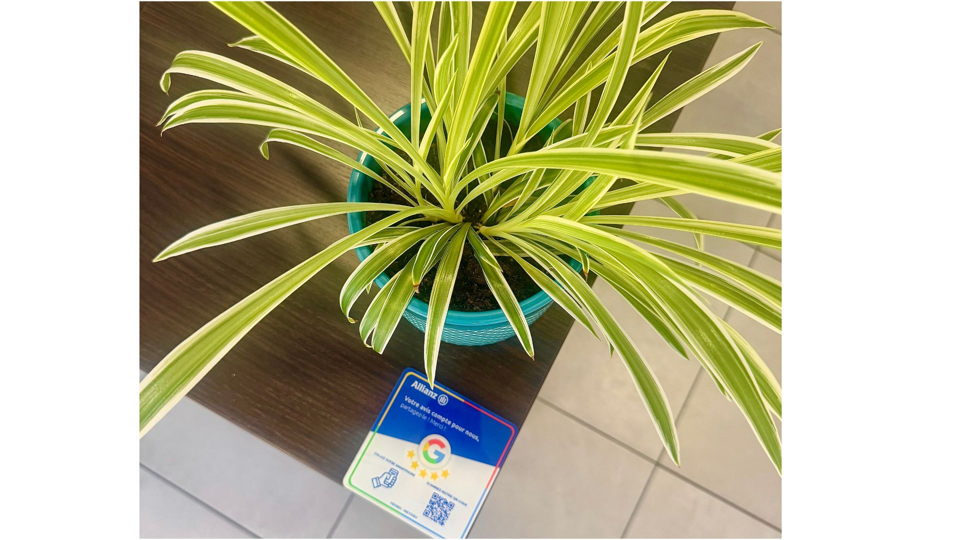 La satisfaction de nos clients est une priorité !