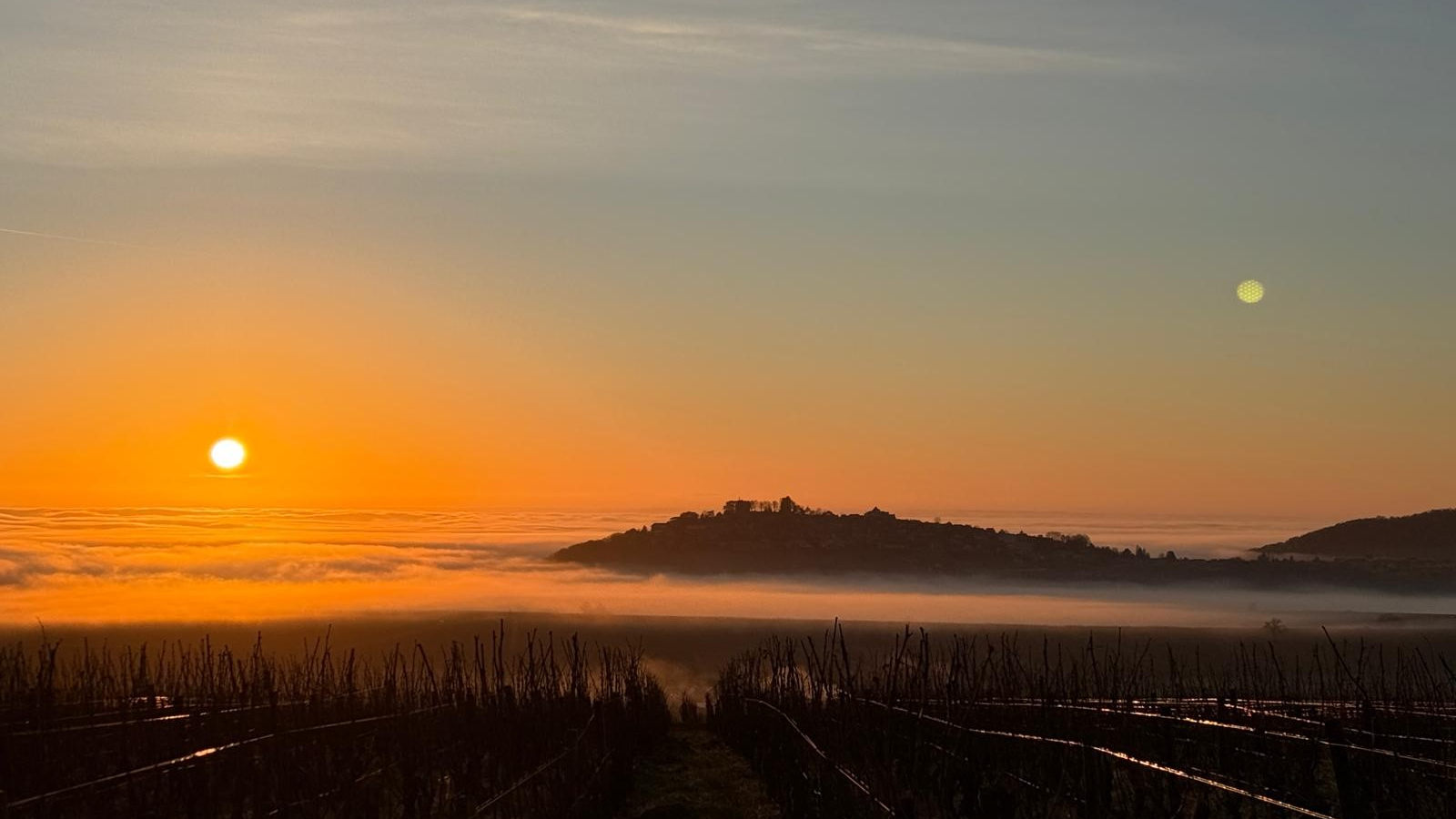 Sancerre
